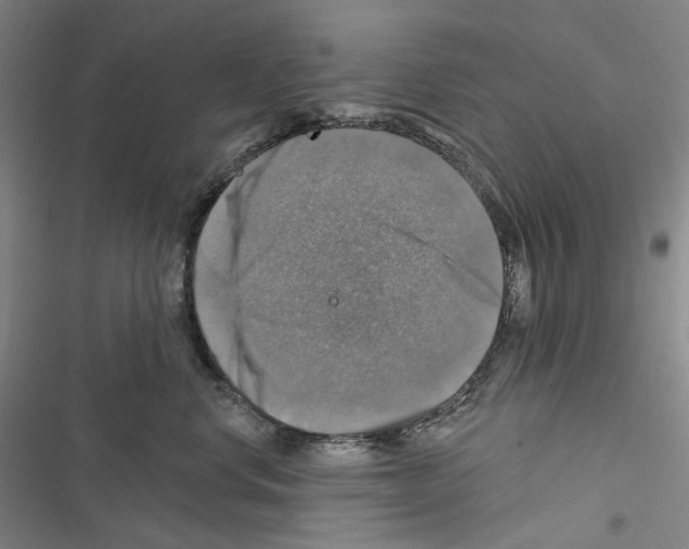 X0000116450668201001191554