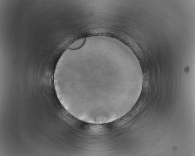 X0000116450669201001191554