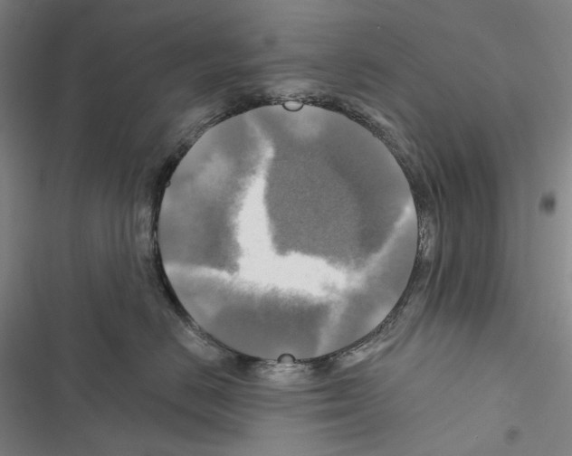 X0000116450670201001191554