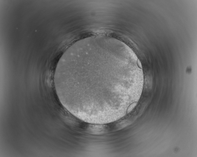 X0000116450671201001191554