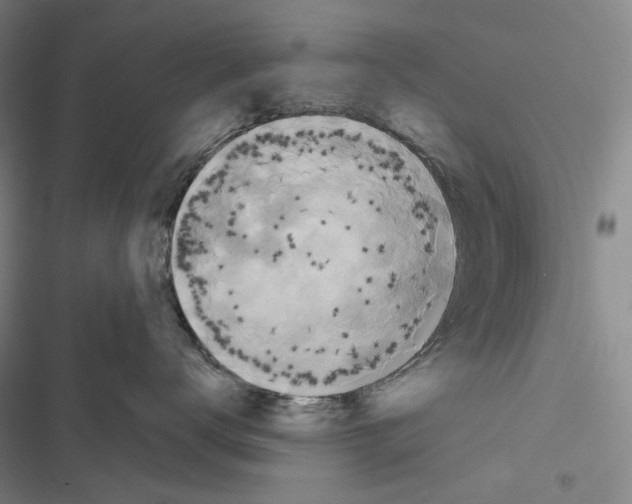 X0000116450672201001191554