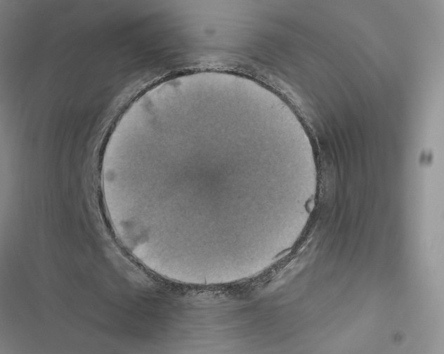 X0000116450673201001191553
