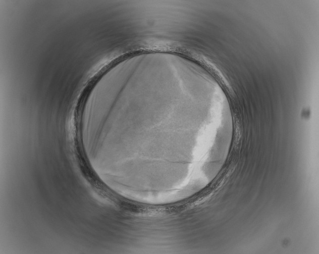 X0000116450674201001191553