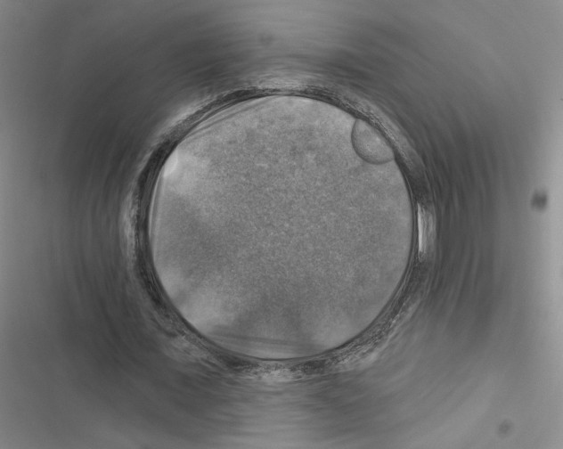 X0000116450675201001191553