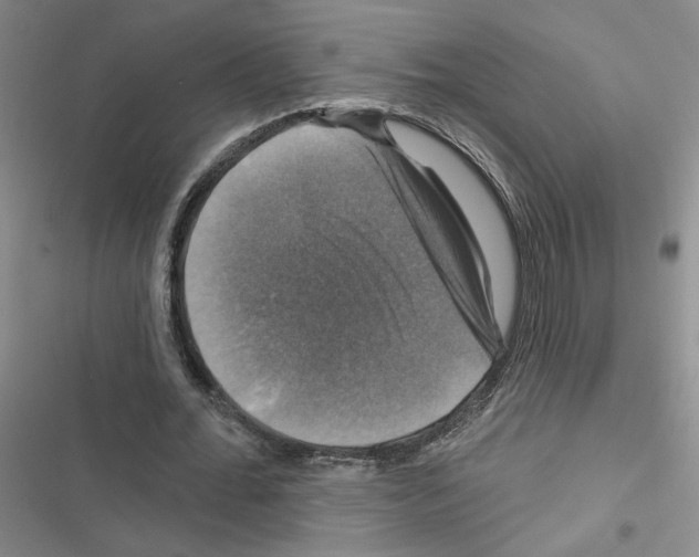 X0000116450676201001191553