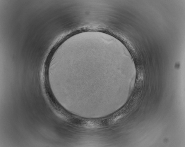 X0000116450678201001191553