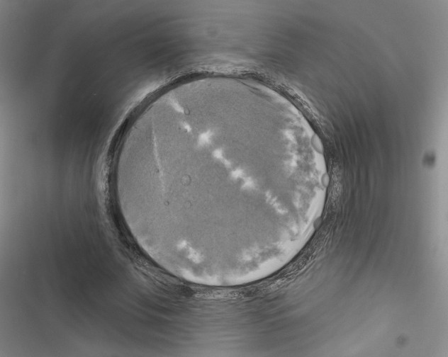 X0000116450679201001191553