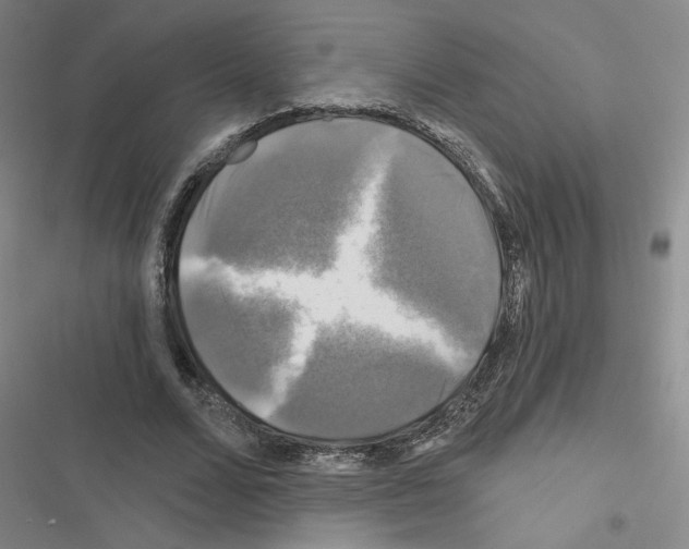 X0000116450680201001191553