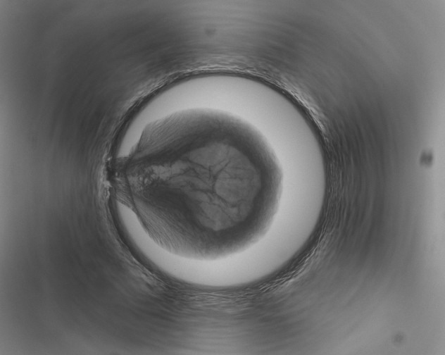 X0000116450681201001191553