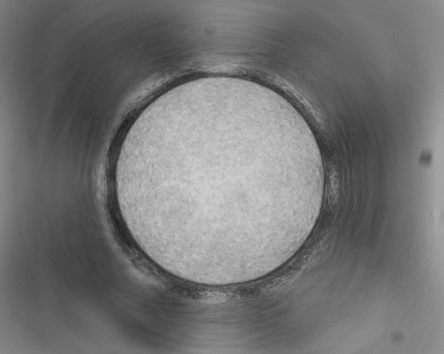 X0000116450682201001191553