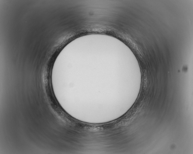 X0000116450683201001191553