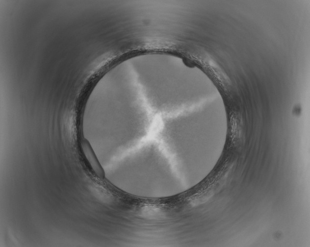 X0000116450684201001191553