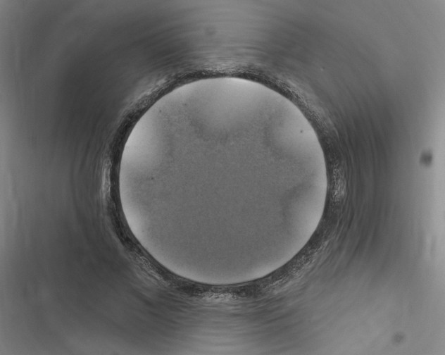 X0000116450685201001191553