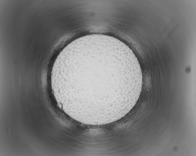 X0000116450686201001191553