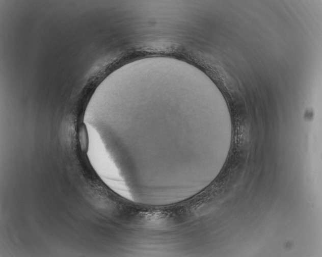 X0000116450688201001191553