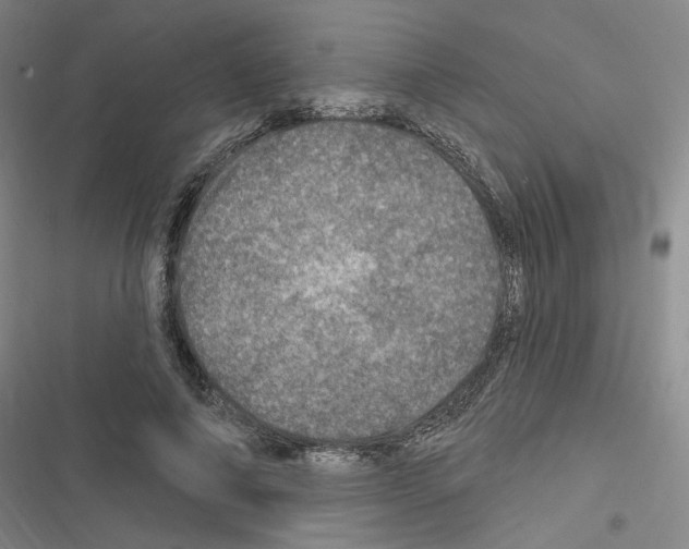 X0000116450690201001191553