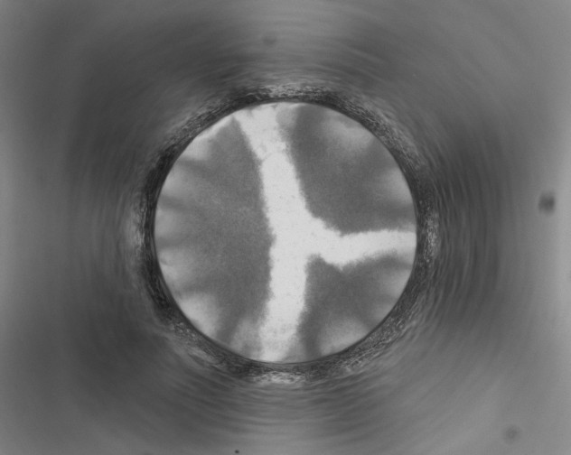X0000116450691201001191553