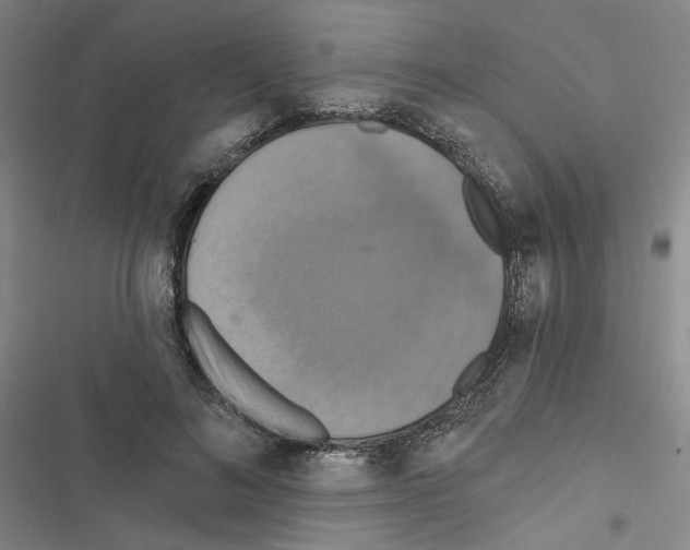 X0000116450692201001191553