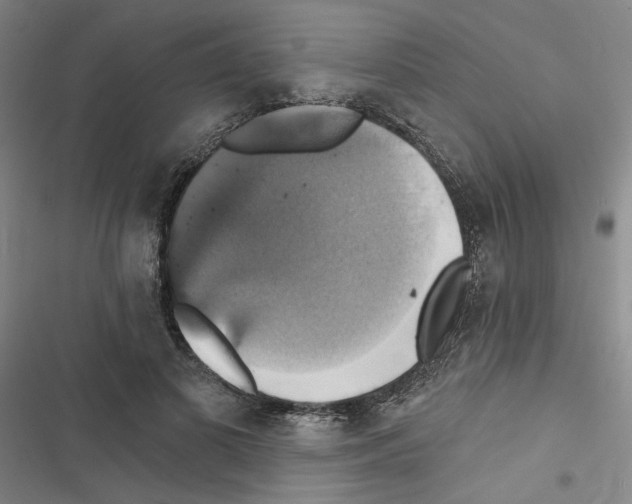 X0000116450693201001191553
