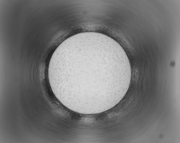 X0000116450694201001191553