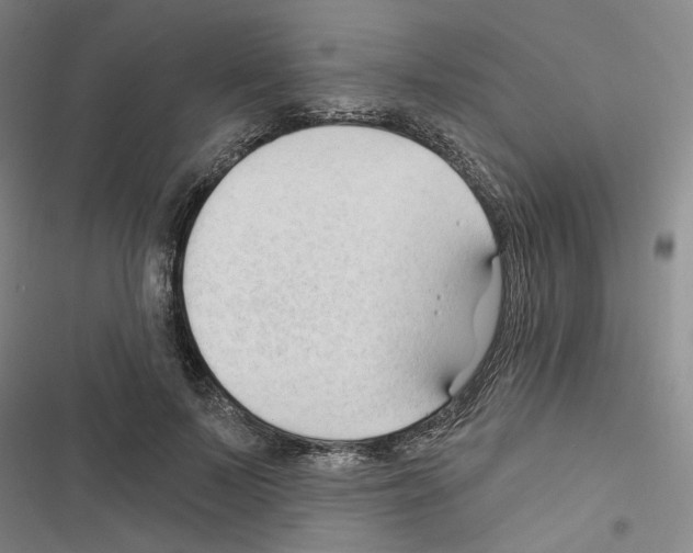 X0000116450695201001191553
