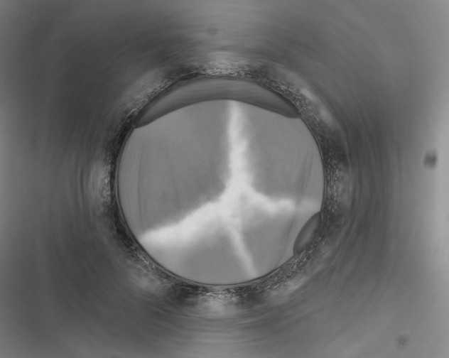 X0000116450696201001191553