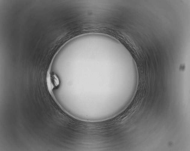 X0000116450697201001191553
