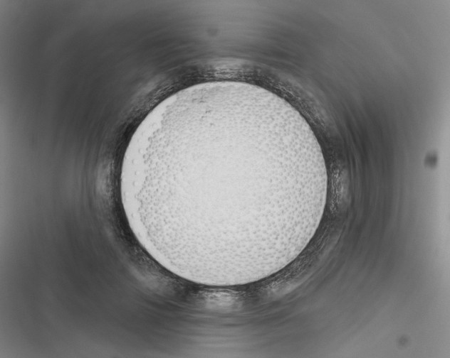 X0000116450698201001191553