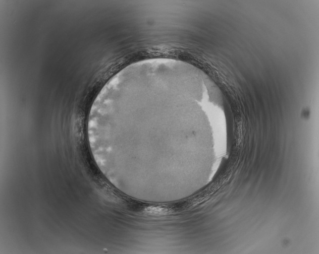 X0000116450699201001191553