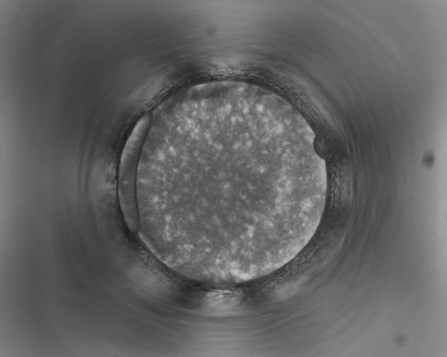 X0000116450700201001191553