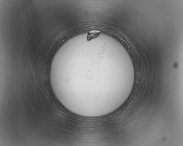 X0000116450701201001191553