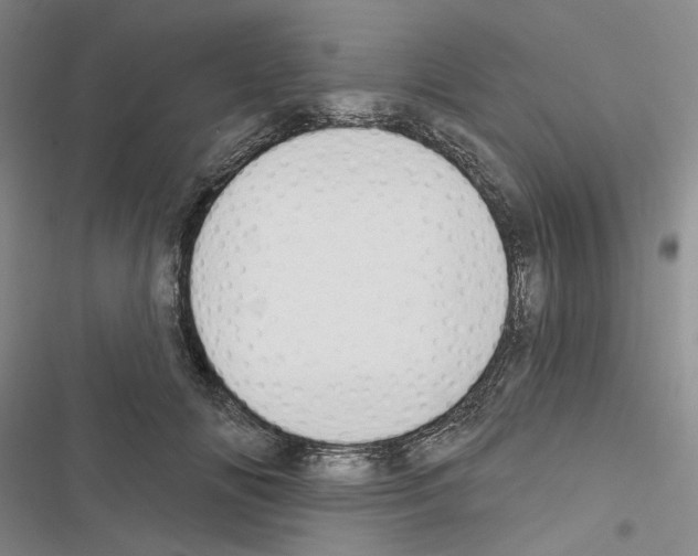 X0000116450702201001191553