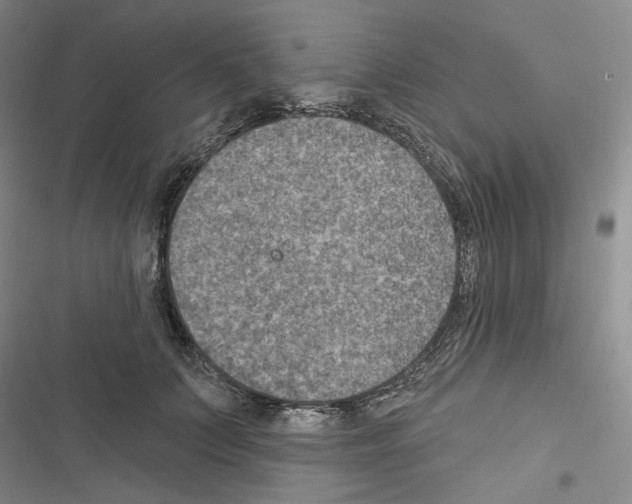 X0000116450703201001191553