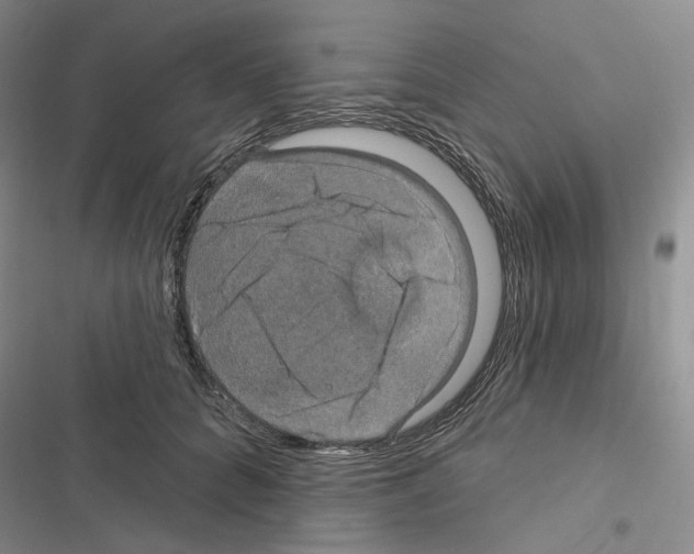 X0000116450704201001191553