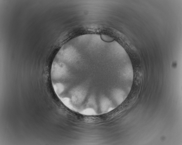 X0000116450707201001191553