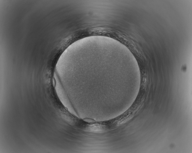 X0000116450708201001191553