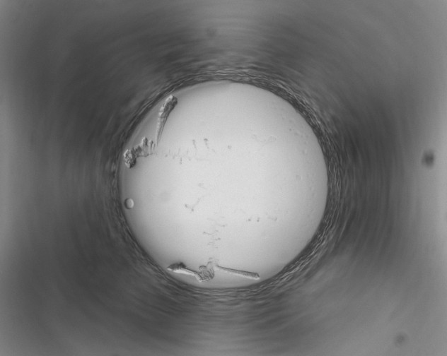 X0000116450709201001191553