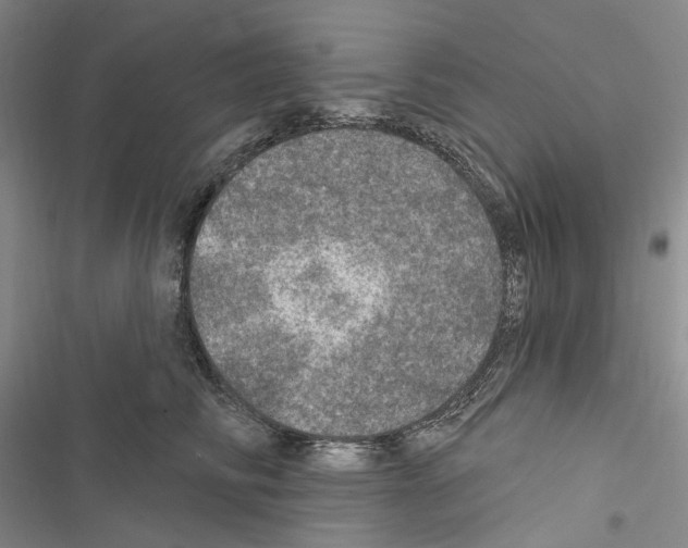 X0000116450710201001191553