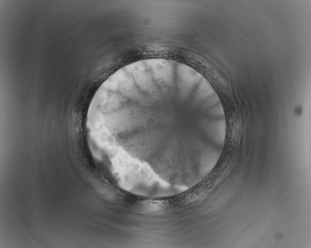 X0000116450711201001191553