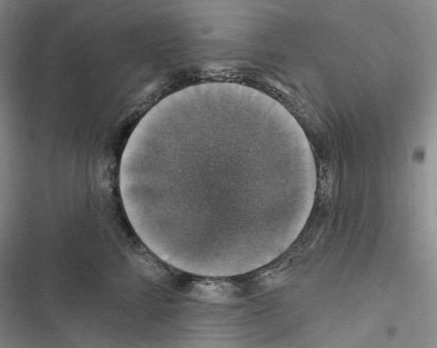 X0000116450712201001191553