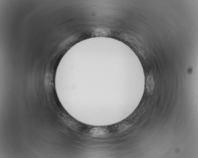 X0000116450714201001191553
