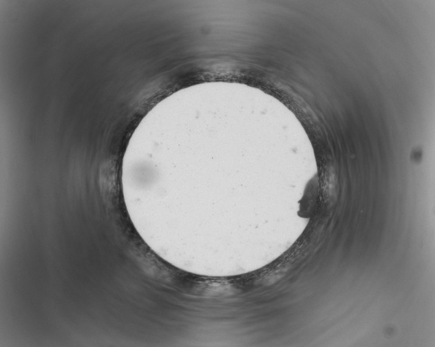 X0000116450715201001191553