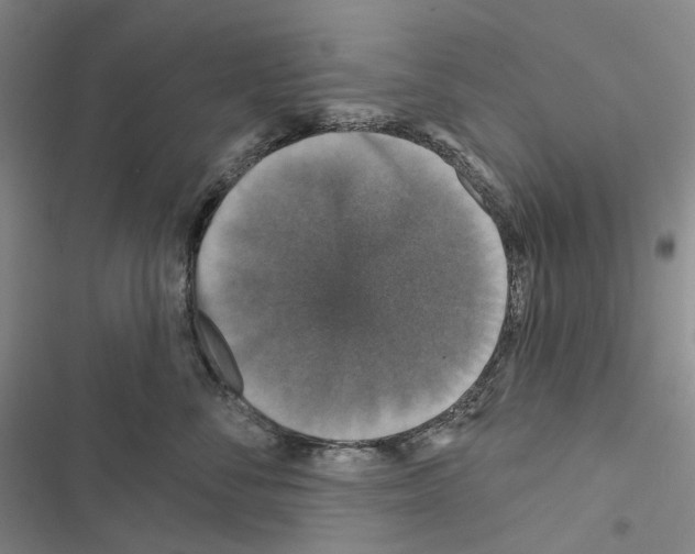 X0000116450716201001191553