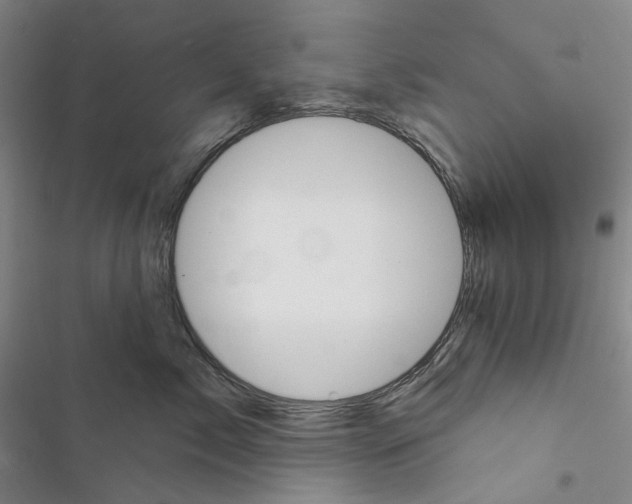 X0000116450717201001191553