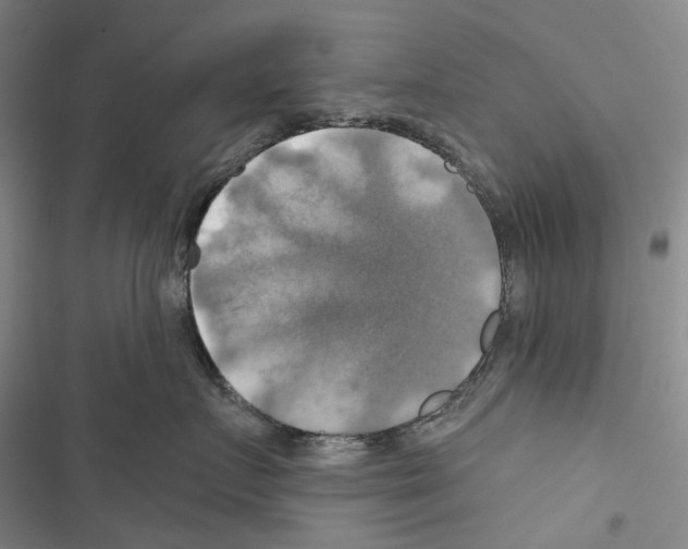 X0000116450719201001191553