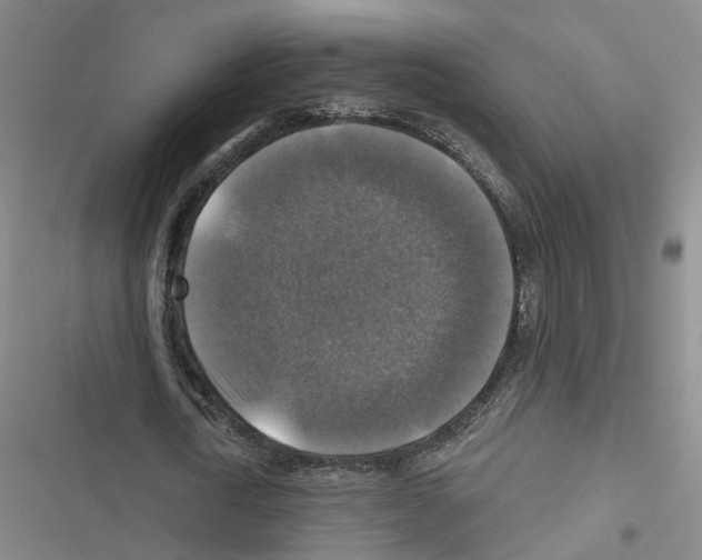 X0000116450722201001191552