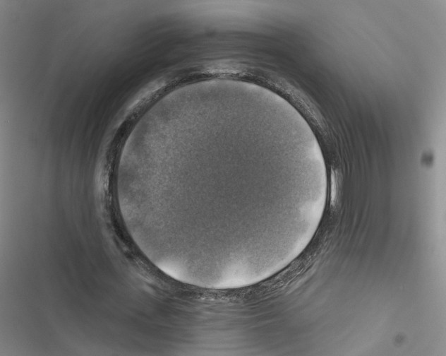 X0000116450723201001191552