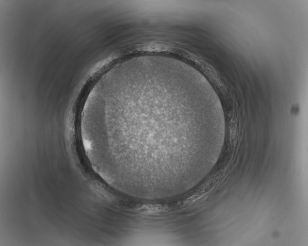 X0000116450727201001191552