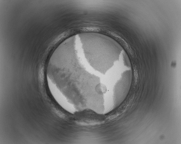 X0000116450729201001191552