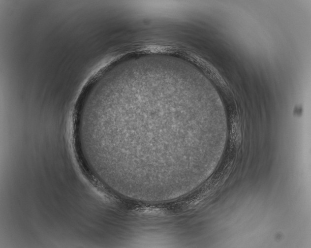 X0000116450730201001191552